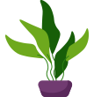 image plant footer